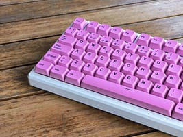 rosa-cerca rosa-cerca