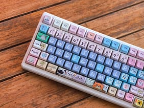 kittens_cerca