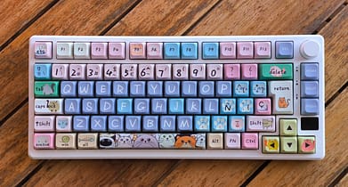kittens_superior
