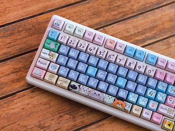 kittens_cerca kittens_cerca